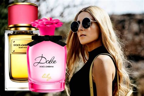 dolce gabbana best fragrance|dolce and gabbana perfume website.